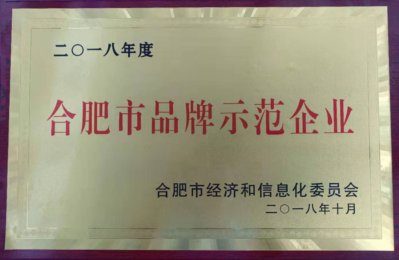 合肥市品牌示范企業(yè)